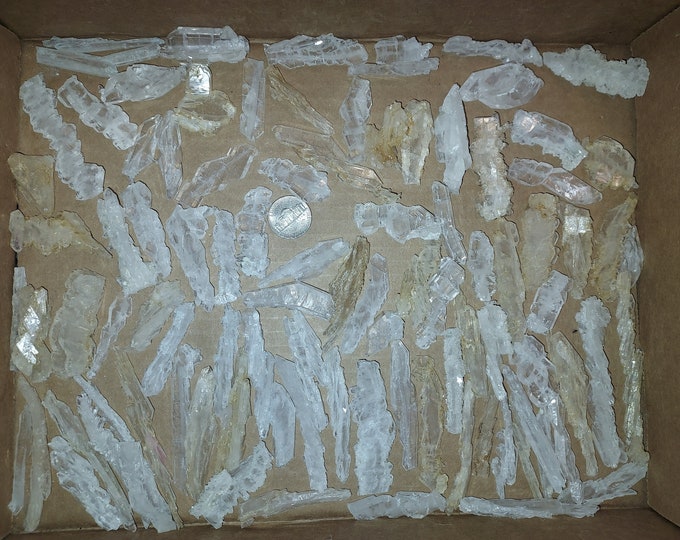 50g+ Lots of Small A++ Faden Quartz Crystals / Clusters Baluchistan Pakistan Himalayan Quartz Mineral Specimen Rock