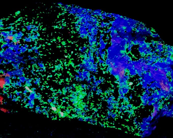2.6lbs Shortwave SW UV Hardystonite Willemite Calcite Clinohedrite Franklin New Jersey Ultraviolet Rock Mineral Specimen