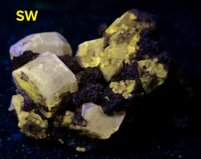 Very Nice SW/MW/LW Uv Fluorapatite Crystals from Panasqueira, Portugal Fluorescent Mineral Specimen Apatite
