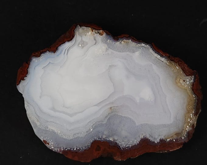 Gorgeous Banded White Calandria Agate from Chihuahua, Mexico - Cut & Polished Half Nodule