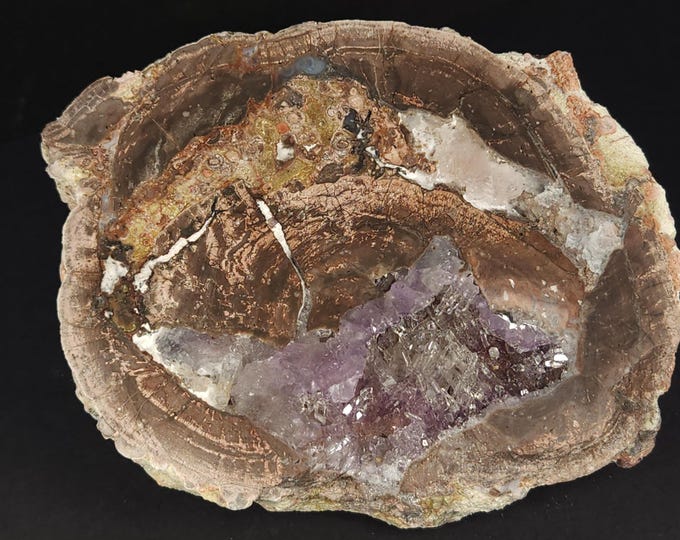 Big & Beautiful Polished "Candy Apple" Agate 1/2 Geode w Vug of Amethyst Crystals + Reverse Scepters - Chihuahua, Mexico