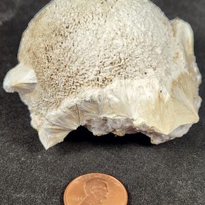 May include: A white, naturally formed, crystal cluster with a rough, textured surface. The cluster is about the size of a US penny.
