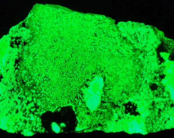 End Cut Slab SW + LW Uv Fluorescent Daylight Green/Purple/White Willemite from Franklin NJ Ultraviolet Rocks Minerals
