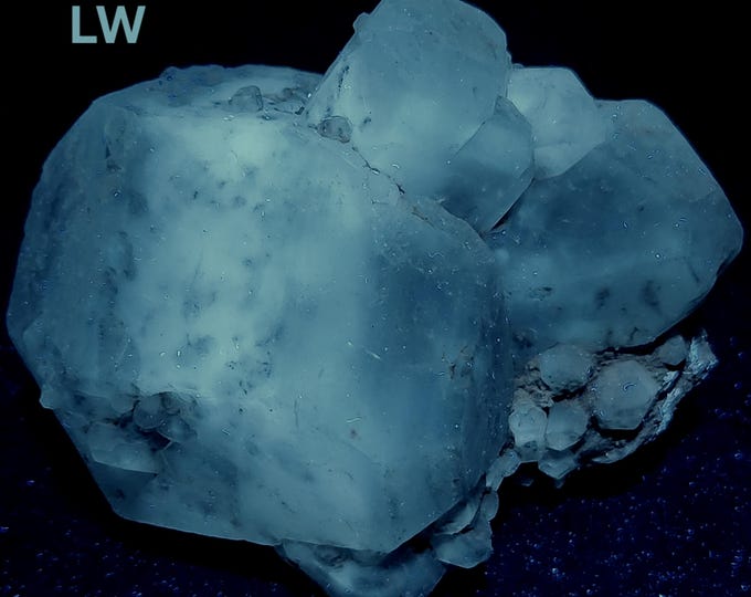 Sharp Multiwave UV Fluorescent + Phosphorescent Hanksite Crystal Cluster from Trona, California - Ultraviolet Minerals