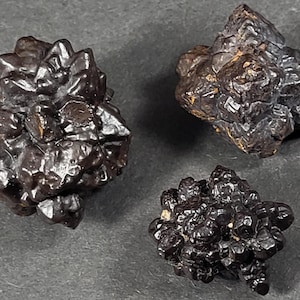 Lot of 3x A++ Prophecy Stones Hematite Limonite Pseudomorphs after Marcasite Crystals from the White Desert, Egypt Mineral Specimens