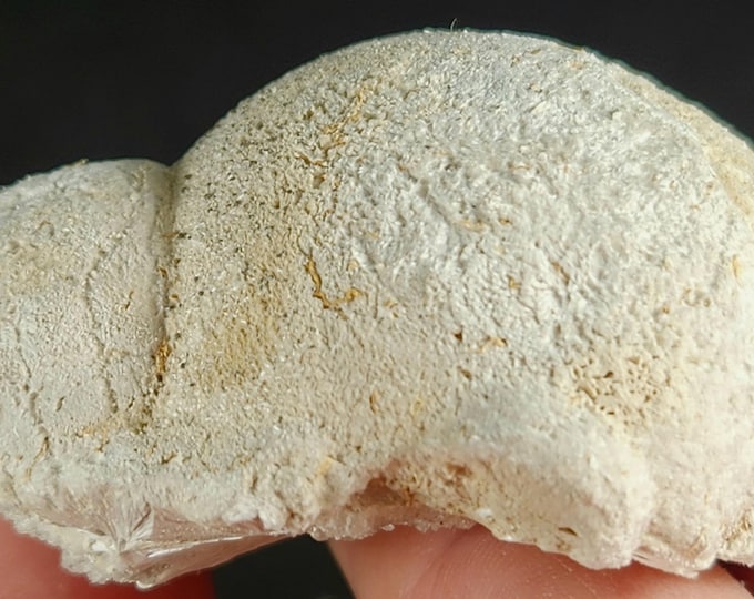 A++ Large Pectolite Sphere - Upper New Street Quarry, Paterson, New Jersey Mineral Specimen