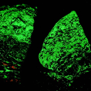 Lot of 2 SW + LW Ultraviolet Fluorescent & Shortwave Phosphorescent Willemite from Sterling Hill in Franklin Mining Dist New Jersey Minerals