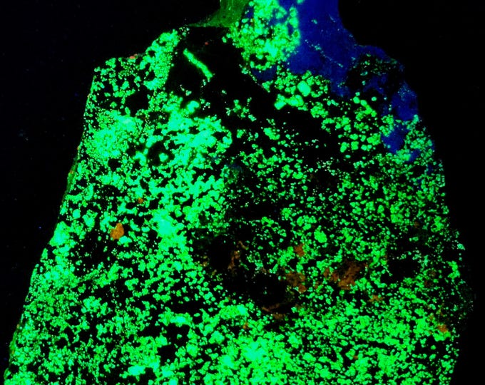 2-Sided Slab Shortwave SW UV Clinohedrite Hardystonite Willemite Franklin New Jersey Ultraviolet Rock Mineral Specimen