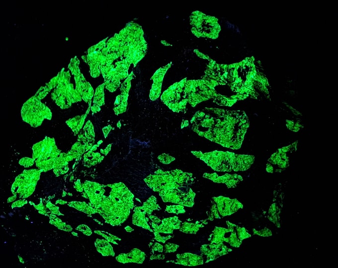 SW + LW UV Fluorescent Troostite Willemite  w/ Orange Zincite, Fibrous White Sussexite & Franklinite - Sterling Hill by Franklin Nj Mineral