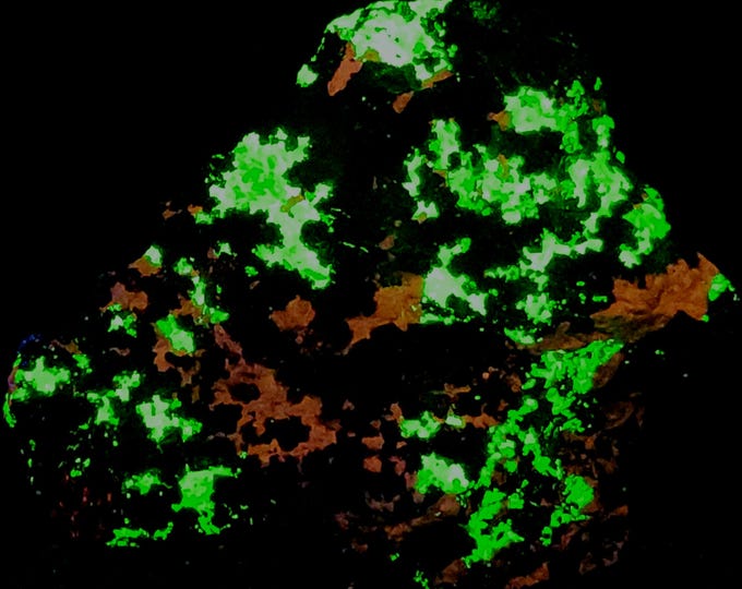 Rich Shortwave SW + Midwave MW UV Fluorapatite & Willemite - Franklin New Jersey Ultraviolet Rock Mineral Specimen