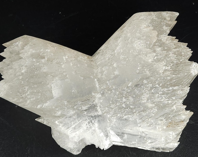 Very Nice Fishtail Gypsum var Selenite Crystals - Naica Mine, Chihuahua, Mexico - Crystal Mineral Specimen