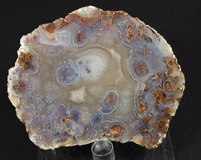 Gorgeous Calandria Agate with Beautiful Colors & Patterns from Chihuahua, Mexico - End Cut Polished Nodule