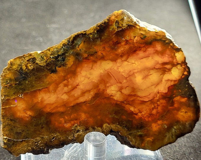 Lightly Polished Slab - Rare A++ Quartz Var Carnelian & Touchonite - New Jersey - Warren Twp., NJ - Jewelry Mineral Specimen