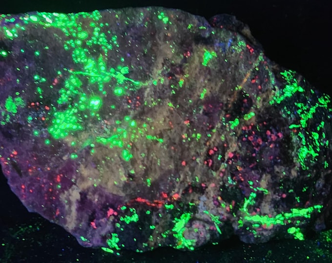 Rare SW + MW UV Fluorescent Rich Nasonite/Pectolite Willemite Axinite-Mn Clinohedrite - Parker Shaft Franklin New Jersey Mineral Specimen