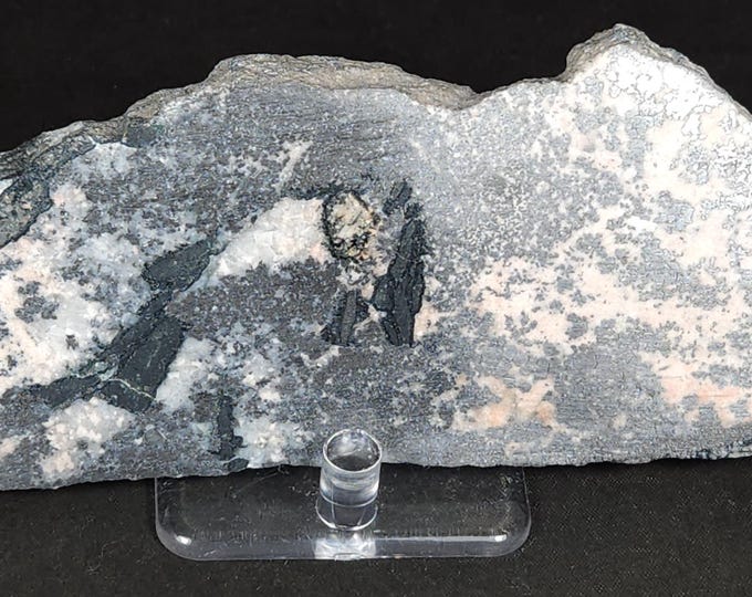 Big Polished Native Silver Slab with Silver Minerals from Cobalt, Ontario, Canada Mineral Specimen Rock