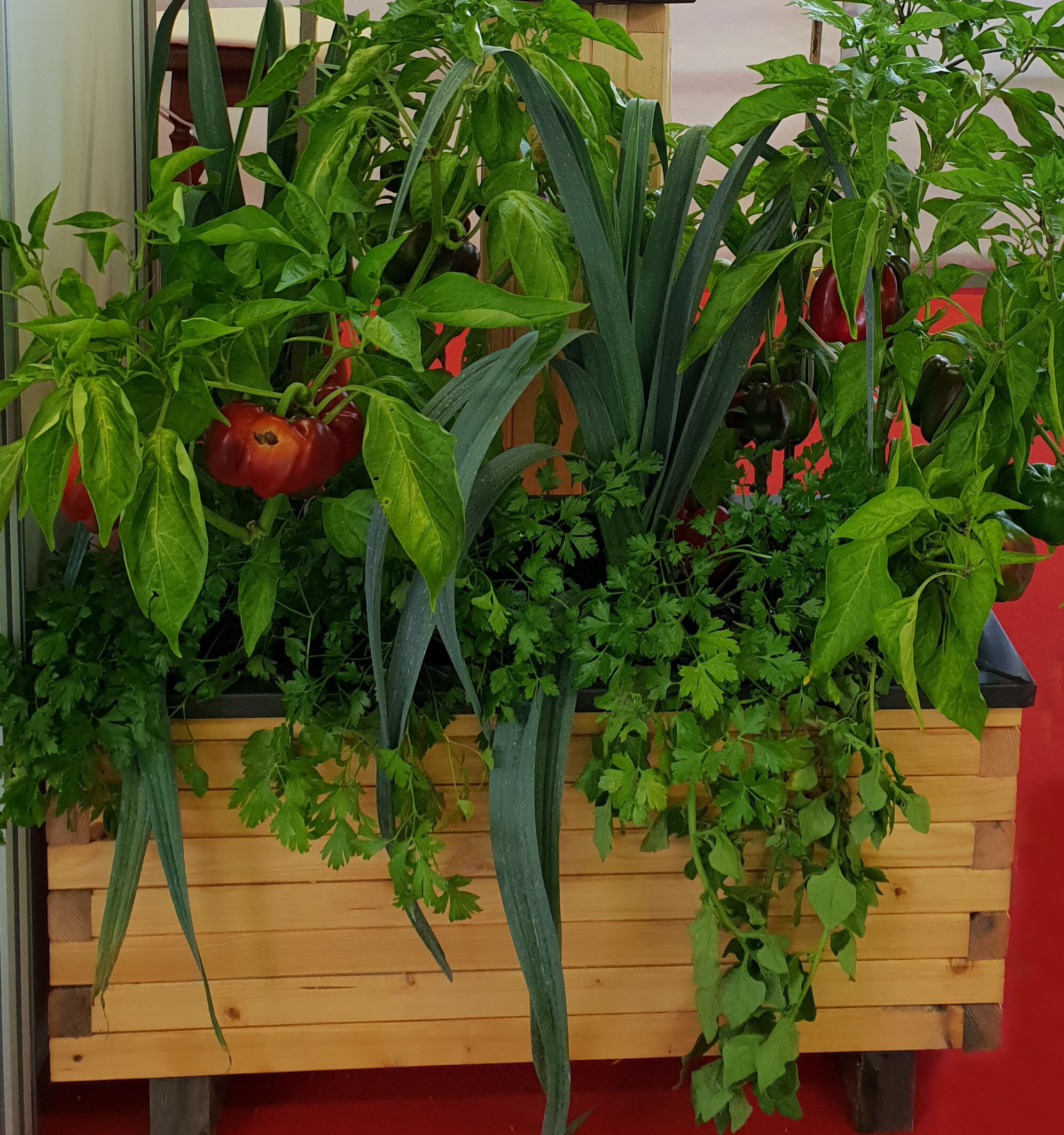 Jardineras madera caja almacenamiento de cajas al aire | Etsy