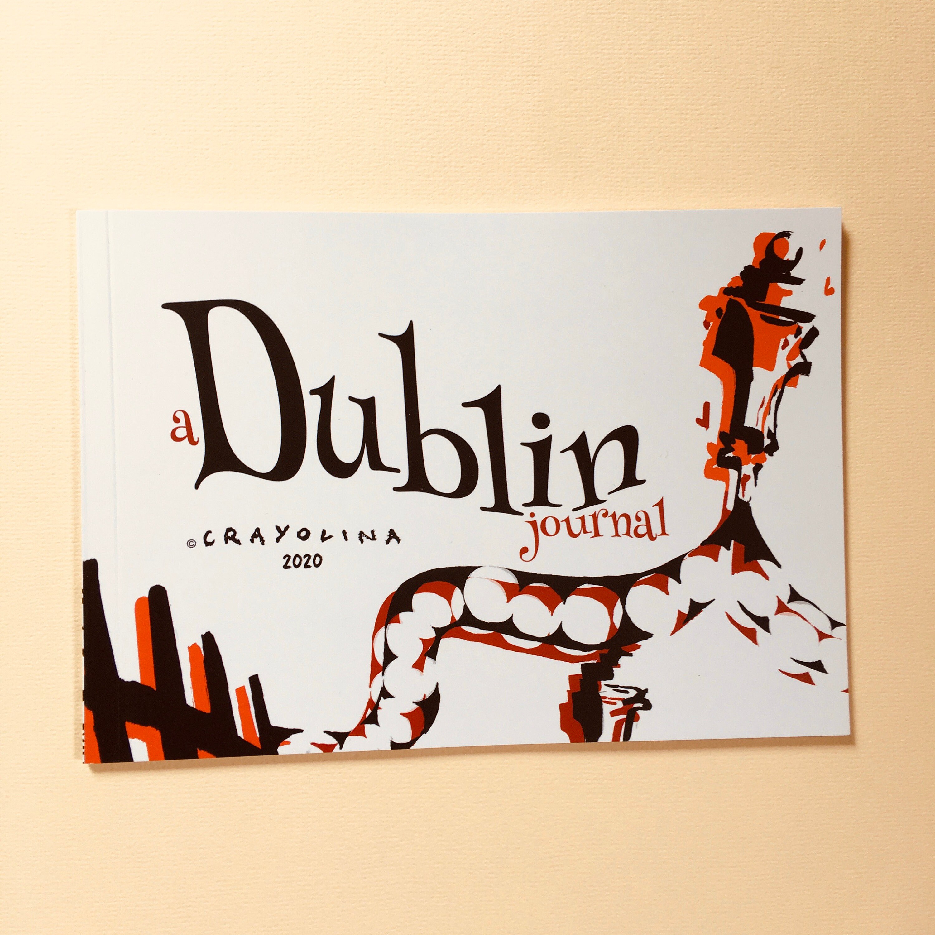 A Dublin Journal Illustrated Book Etsy