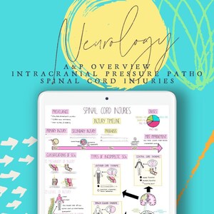 Pacchetto di note infermieristiche di anatomia e fisiologia del sistema nervoso / Guida allo studio stampabile / Piano di studio NCLEX / Concetti infermieristici di terapia intensiva