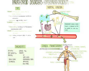 parathyroidism symptoms checklist parathyroidism symptoms checklist