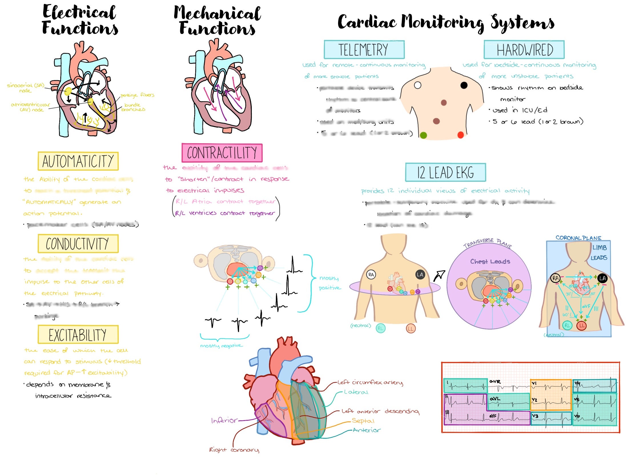 Cardiac NURSING BUNDLE | Cardiovascular System NCLEX Cheat Sheet | 9 ...
