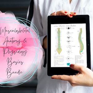 Orthopedic Nursing Notes Bundle | Musculoskeletal System Anatomy & Physiology Study Guide | NCLEX Orthopedic Nursing Notes