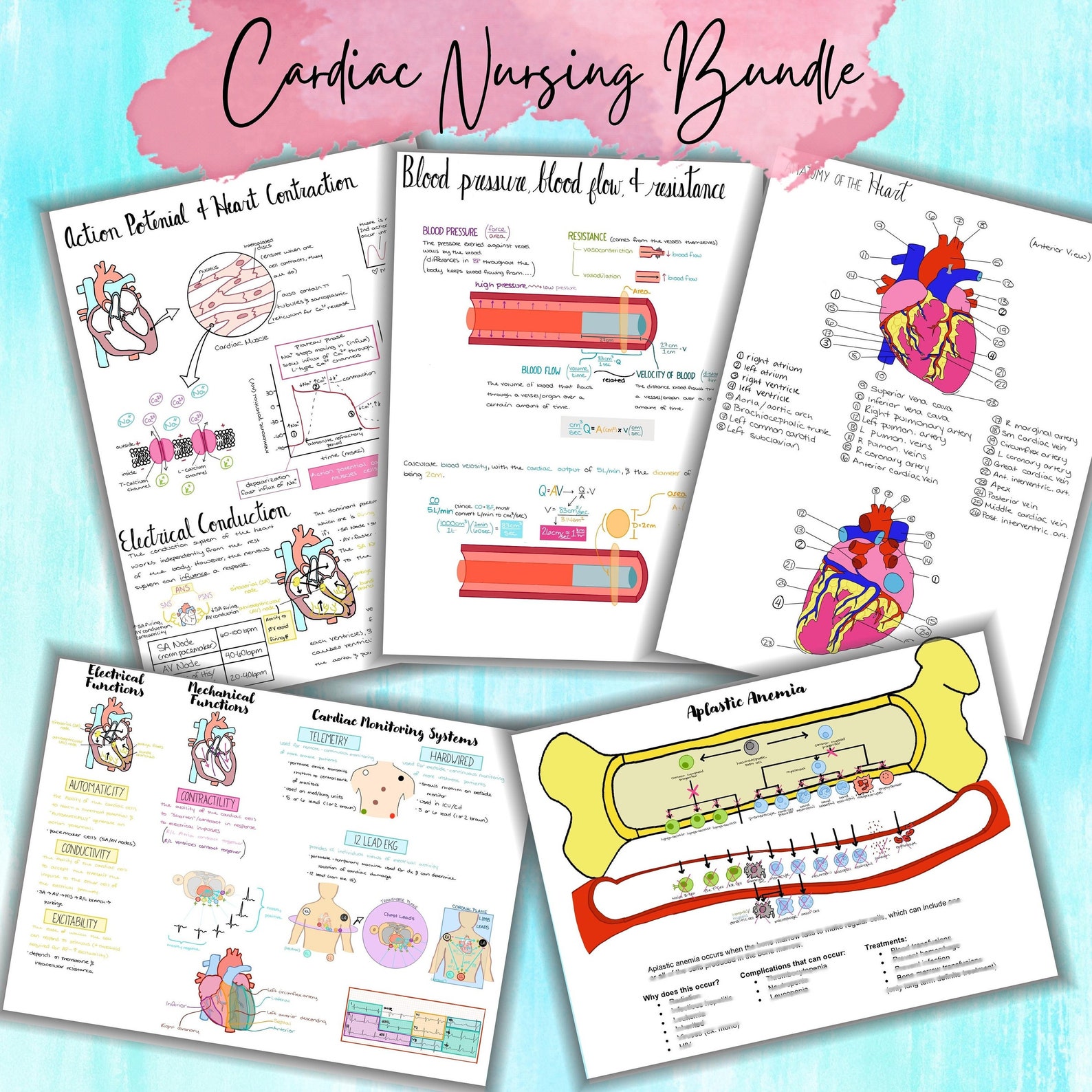 Cardiac NURSING BUNDLE | Cardiovascular System NCLEX Cheat Sheet | 9 ...