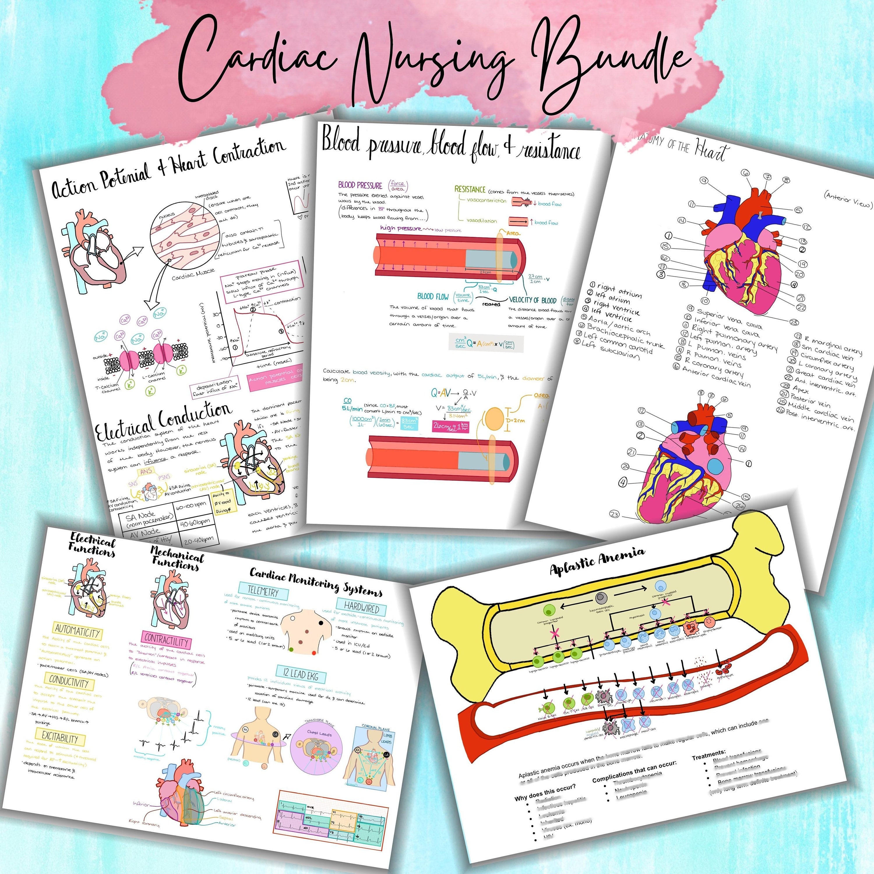 ※セール DX版※チャールズ　ファジーノ “NURSES HAVE HEART セール DX版※チャールズ ファジーノ “NURSES HAVE HEART 希少DX版