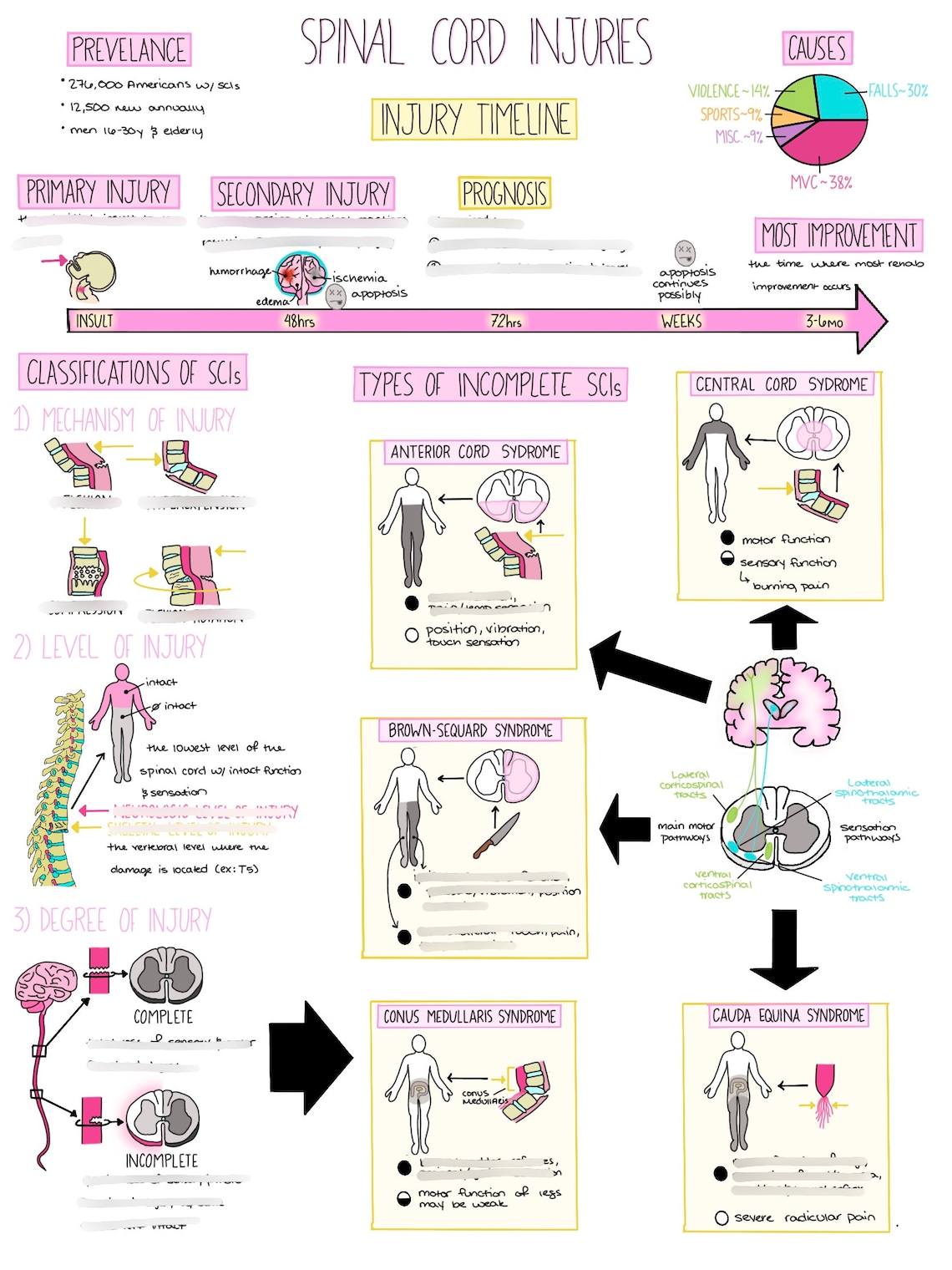 NURSING NOTES Neuro Pathophysiology & Anatomy Nursing Notes Etsy UK