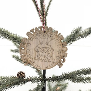 Ornamento dell&#39;aeronautica degli Stati Uniti, ornamento in legno dell&#39;aeronautica militare, regali di Natale, ripieno di calze, idea regalo militare, USAF, famiglia militare