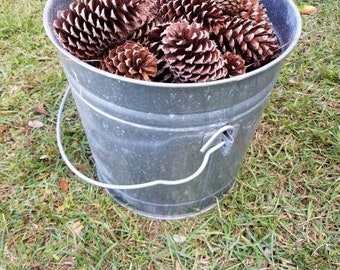 14pcs - Natural Sterilized Pine Cones- 3 to 6 inch perfect cones for DIY Crafts and Decorations, Wedding, Home Decor, Christmas
