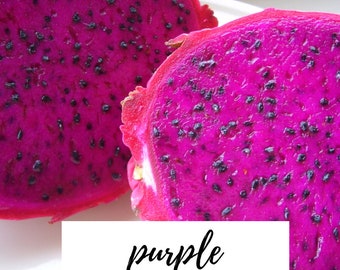 Dragonfruit Cuttings, Purple-fleshed Pitaya, Dragon Fruit Vine, Tropical Cactus