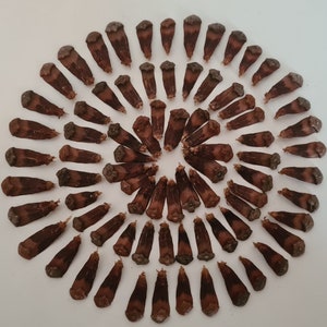 May include: A circular arrangement of approximately 50 brown pine cones, all pointing outwards from the center, creating a spiral pattern.