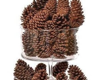 14pcs - Natural Sterilized Pine Cones- 3 to 6 inch perfect cones for DIY Crafts and Decorations, Wedding, Home Decor, Christmas