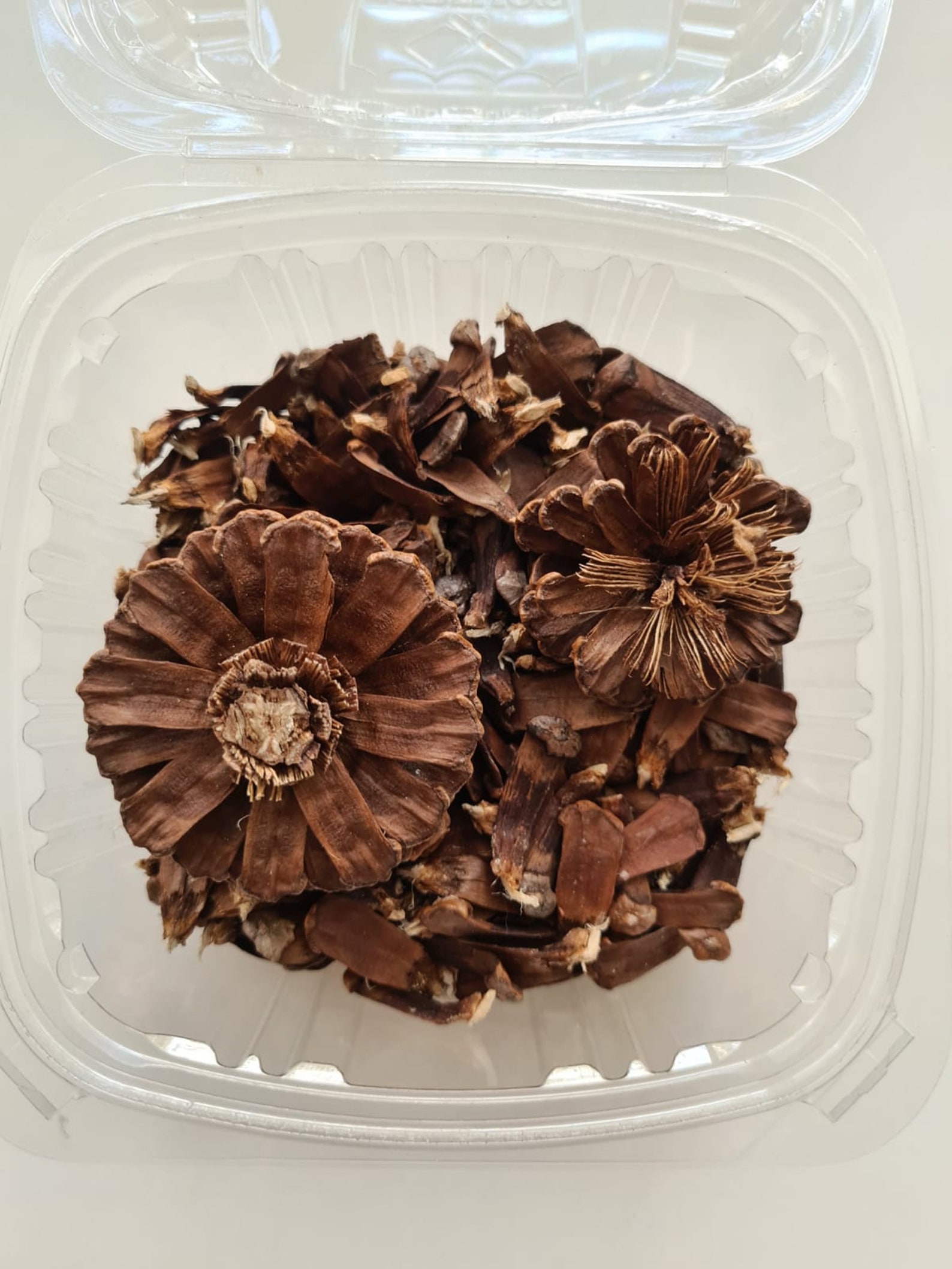 Over 200 Perfect Pine Cone Petals Organic Sterilized Pine Etsy