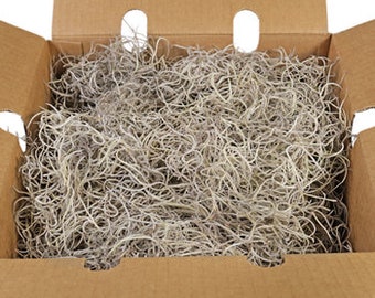 1/2 lb LIVE Spanish Moss- Tillandsia usneoides- Organic Hanging Air Plant- for Orchid, Wedding, Decoration, Halloween, Birthday