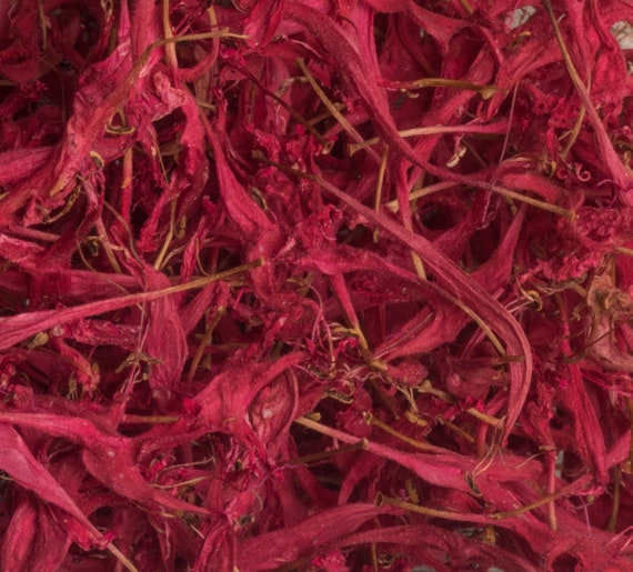 4g 0.14oz Bergamot bee balm Beebalm Monarda Didyma Organic red Flowers Petals for Steam Bath Decor Art /& to decorate candel in Canada