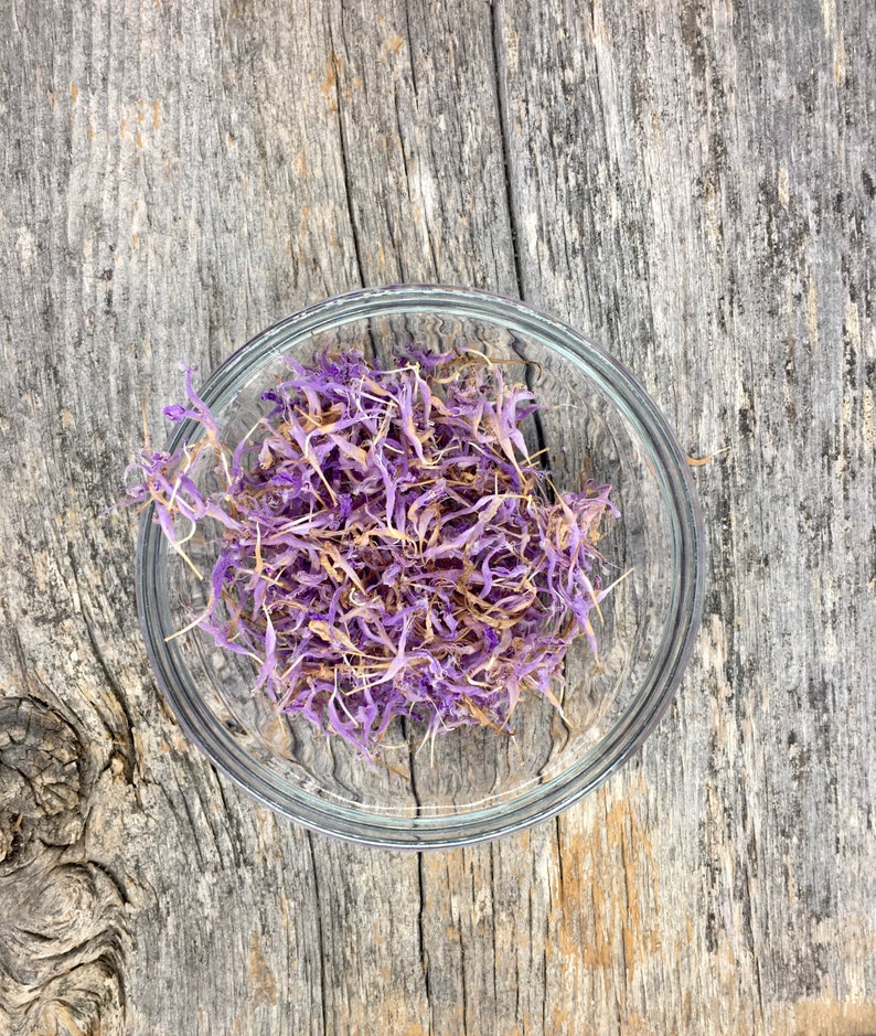 4g 0.14oz Bergamot bee balm Beebalm Monarda Didyma Organic red Flowers Petals for Steam Bath Decor Art /& to decorate candel in Canada