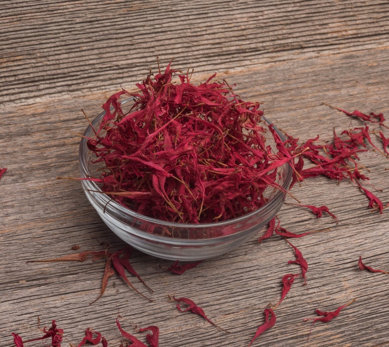 4g 0.14oz Bergamot bee balm Beebalm Monarda Didyma Organic red Flowers Petals for Steam Bath Decor Art /& to decorate candel in Canada