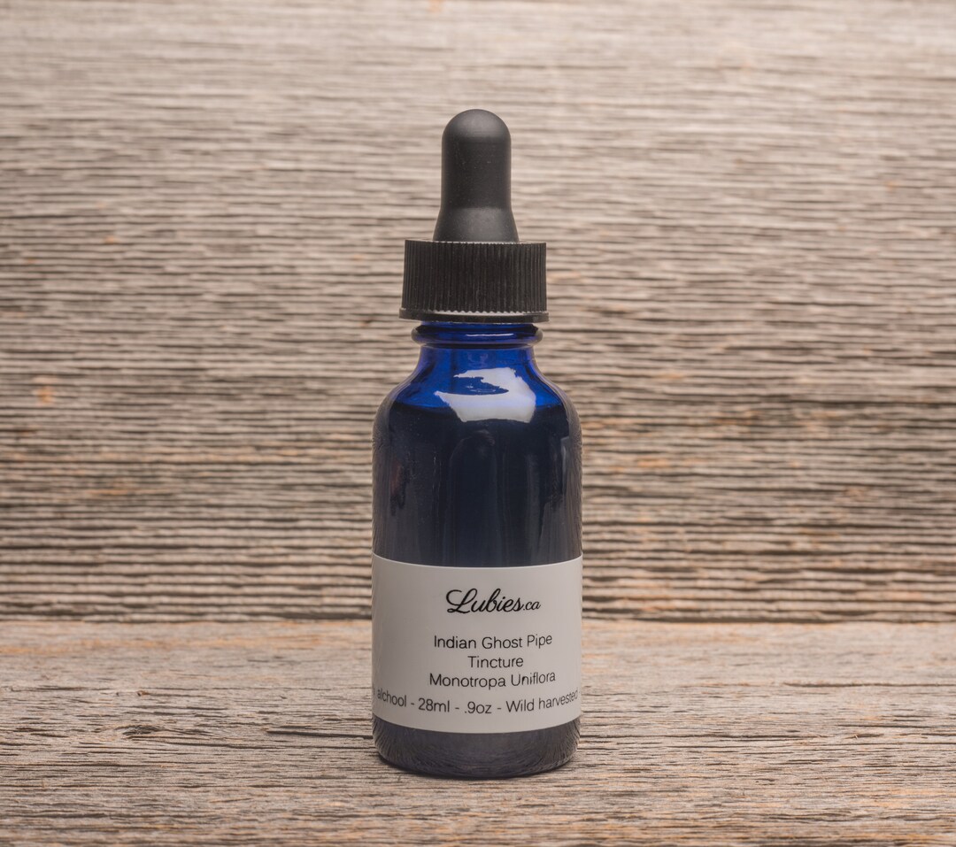 Ghost Pipe Indian Monotropa Uniflora Organic Herbal Tincture Wildharvested Native Tradition Etsy