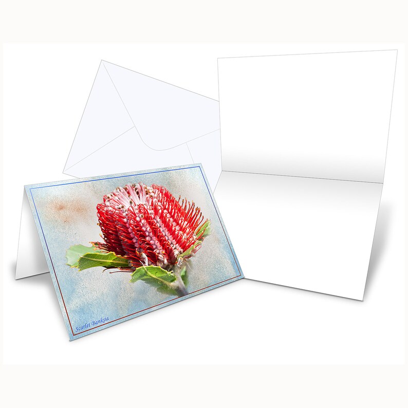 BANKSIA GSM CARD DRIVERS FOR WINDOWS VISTA BANKSIA GSM CARD TREIBER HERUNTERLADEN