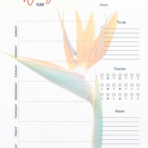 Planificateur hebdomadaire Bird of Paradise