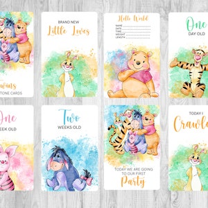 Twin Baby Milestone Cards, 4x6 Cards, Winnie The Pooh, Print Your Own. VERKOOP!!!
