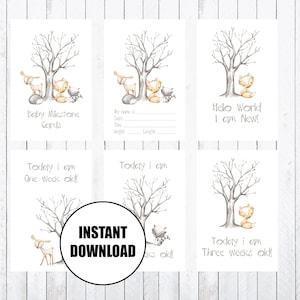 Cartes Baby Milestone, Cartes 4x6, Animaux des Bois, Imprimez vos propres cartes d'étape. TÉLÉCHARGEMENT INSTANTANÉ