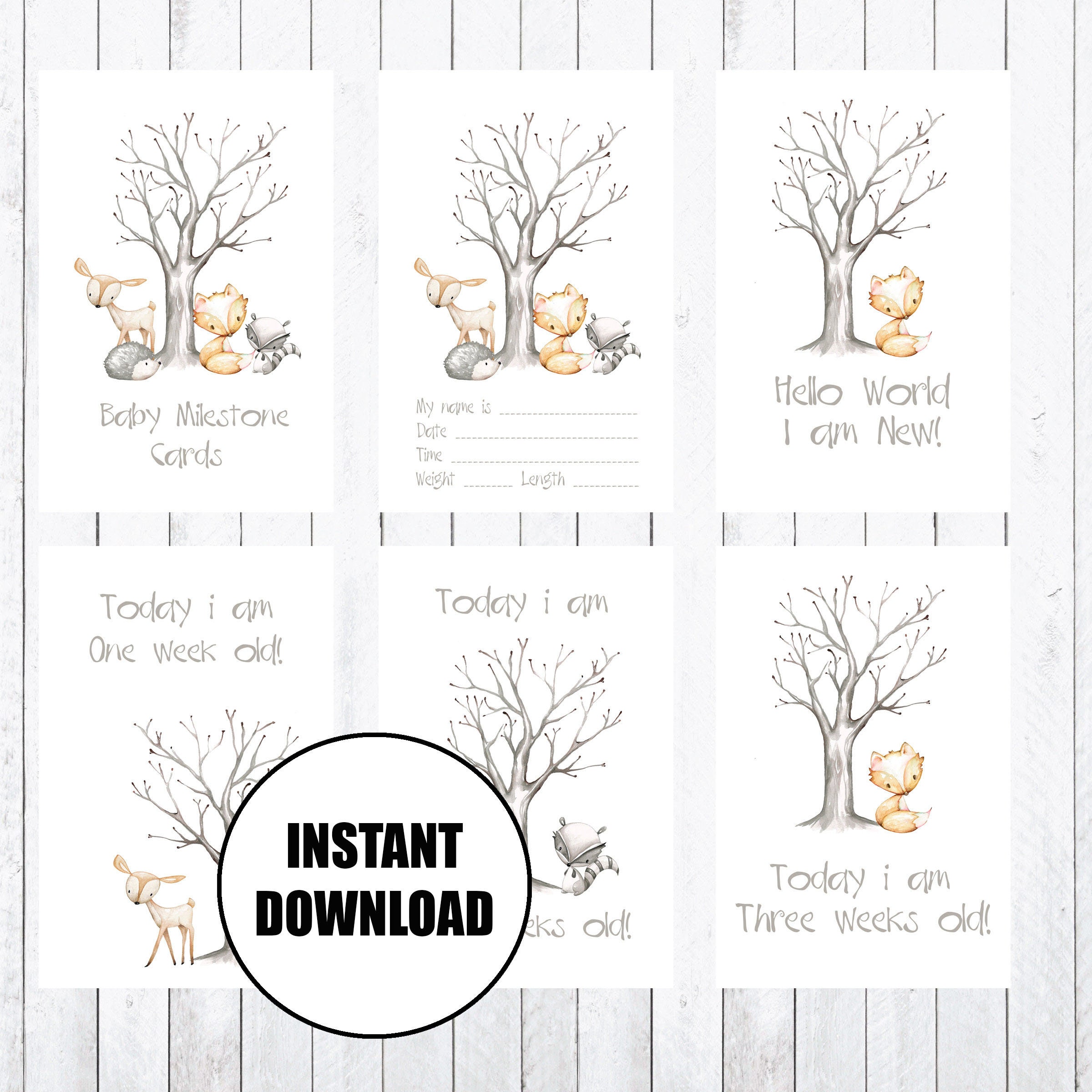 4x6 Cards deer Baby Milestone Cards fox Woodland Animals rabbit Instant ...