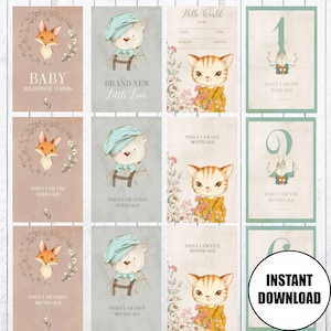 Baby Milestone Cards, 4x6 Cards, Photo Props, 60 Cartes incluses.  TÉLÉCHARGEMENT INSTANTANÉ
