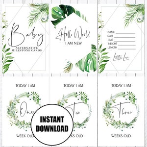 Baby Alternative Milestone Cards, 4x6 Cards, Photo Props, INSTANT DOWNLOAD