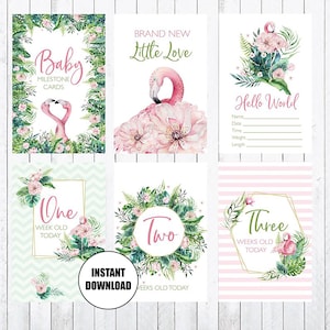 Cartes Baby Milestone, Cartes 4x6, Flanmengos, Imprimez vos propres cartes d'étape. TÉLÉCHARGEMENT INSTANTANÉ