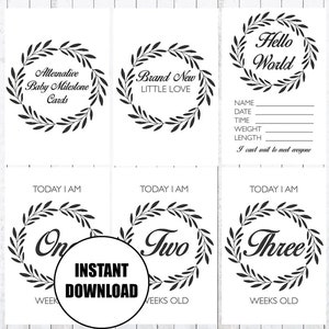 Baby Alternative Milestone Cards, 4x6 Cards, Photo Props, INSTANT DOWNLOAD