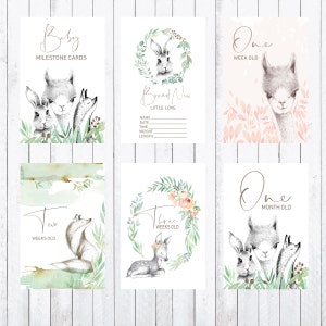Cartes Milestone bébé, cartes 4x6. Animaux de bois, lama, cerf, renard, lapin Téléchargement instantané.