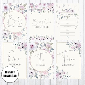 Baby Milestone Cards, 4x6 Cards, Sweet Violet, INSTANT DOWNLOAD